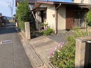 IMG_0717